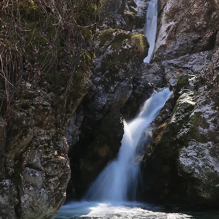 Baban In Zaga, Slovenia *